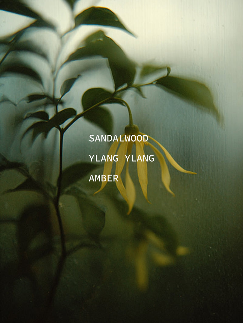 Sandalwood Chord