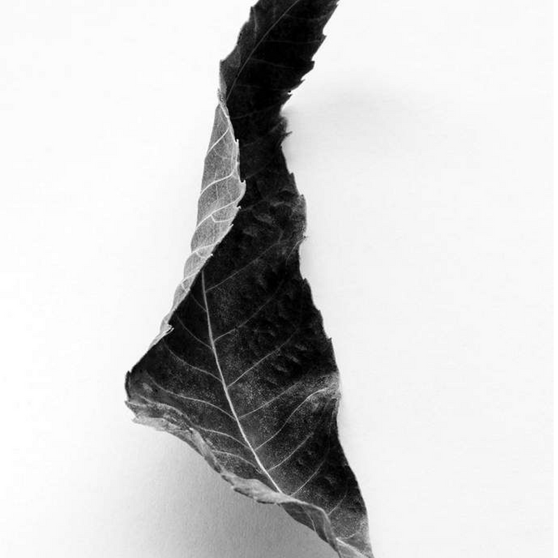 October Playlist