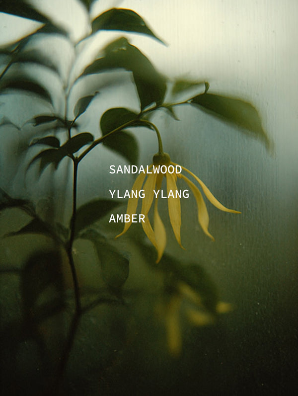 Sandalwood Chord